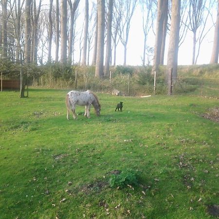 Vandenstampershoek B&B Damme Buitenkant foto