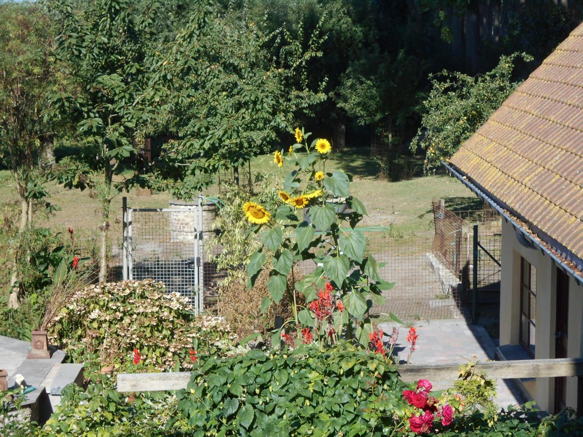 Vandenstampershoek B&B Damme Buitenkant foto