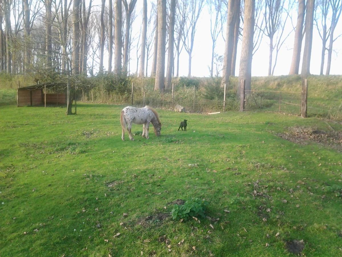 Vandenstampershoek B&B Damme Buitenkant foto