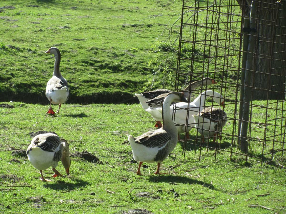 Vandenstampershoek B&B Damme Buitenkant foto